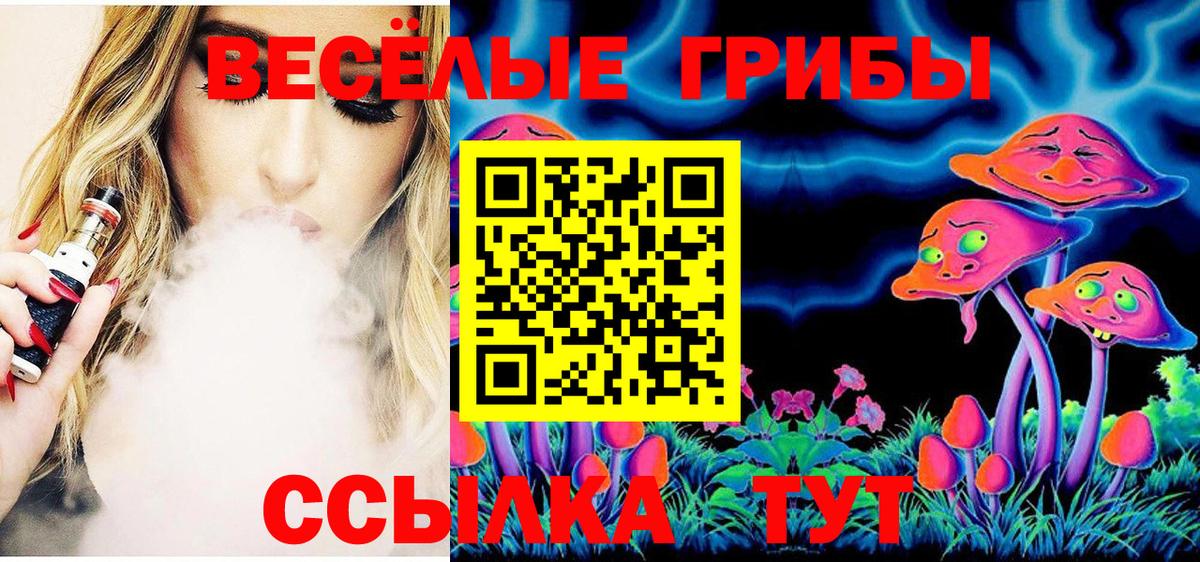 Псилоцибиновые грибы Psilocybe Коммунар