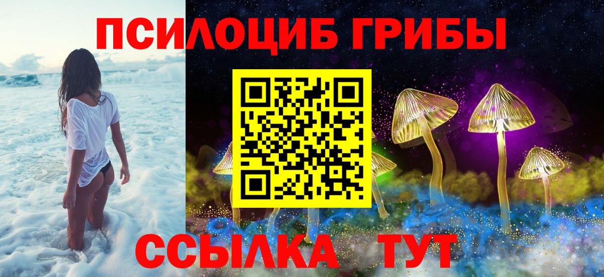 Коммунар  Псилоцибиновые грибы MAGIC MUSHROOMS  Псилоцибиновые грибы Psilocybine cubensis  наркотики  Вход с VPN 